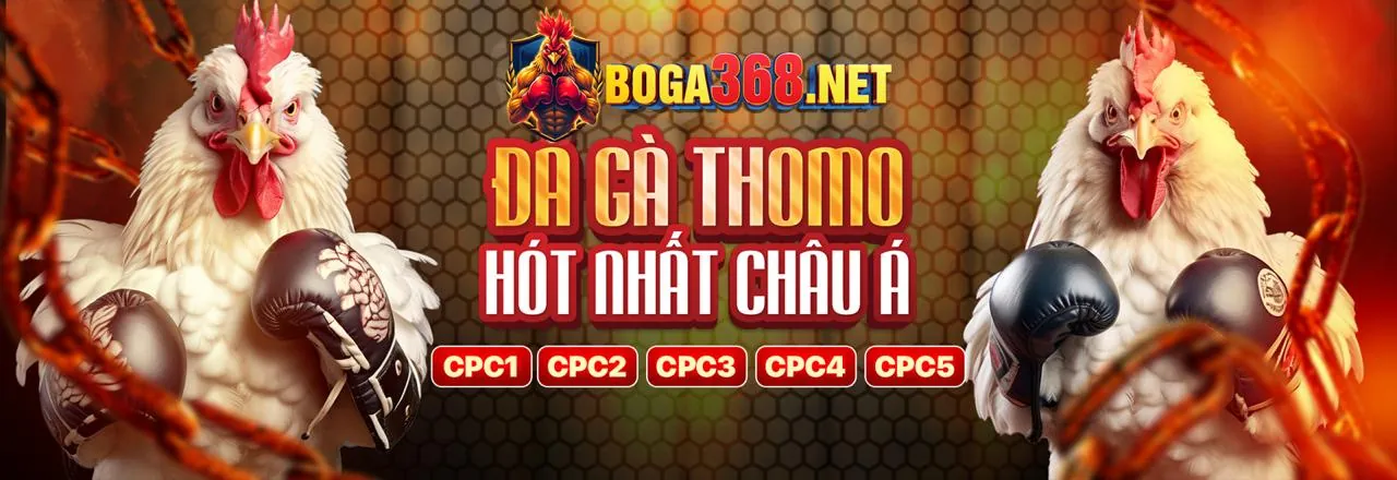 Cá cược Thể Thao tại sunwin apk